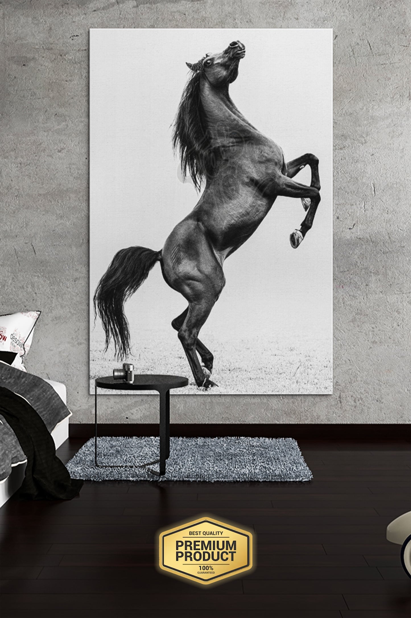 Cheval Noir – Style Élégant et Moderne