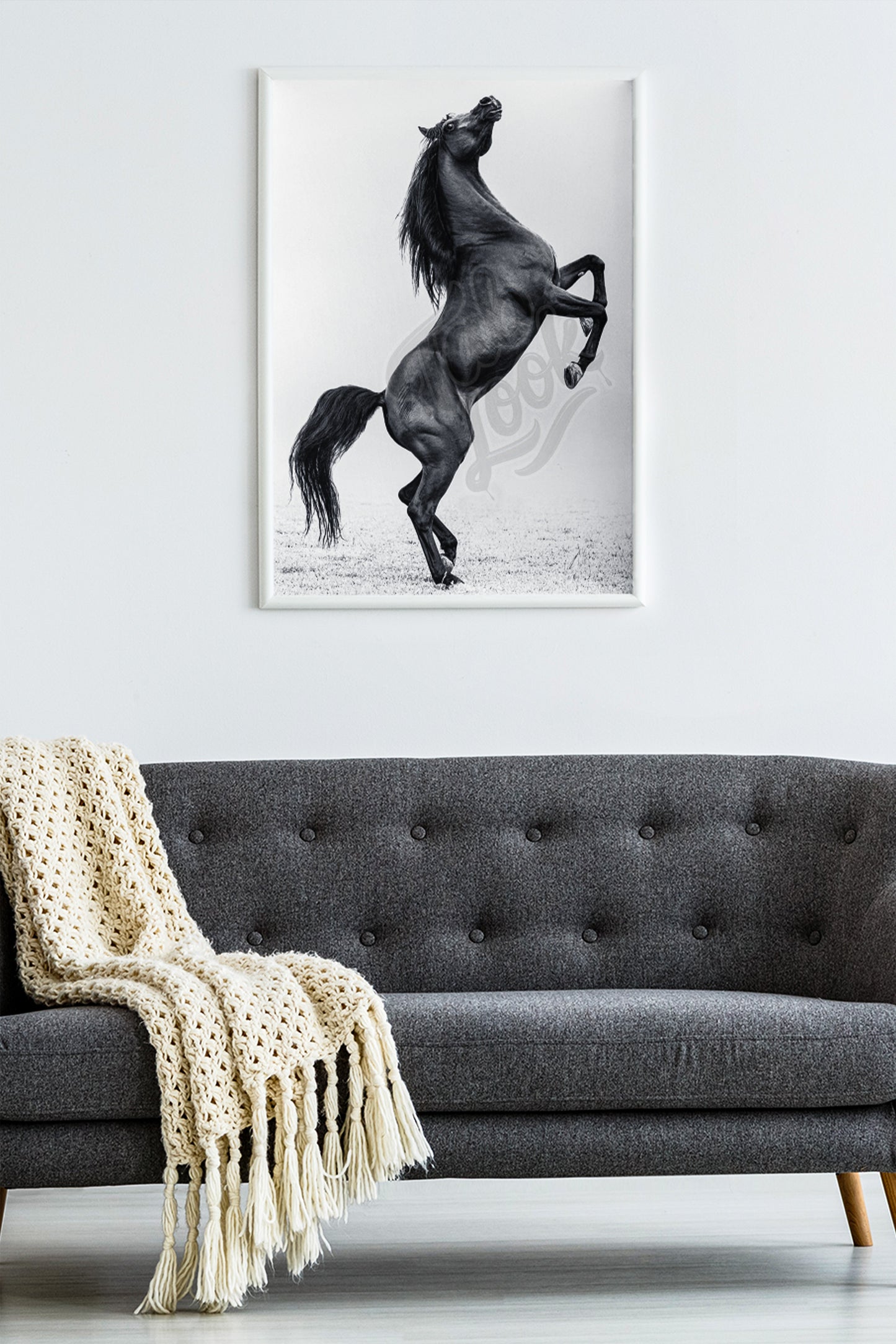 Cheval Noir – Style Élégant et Moderne